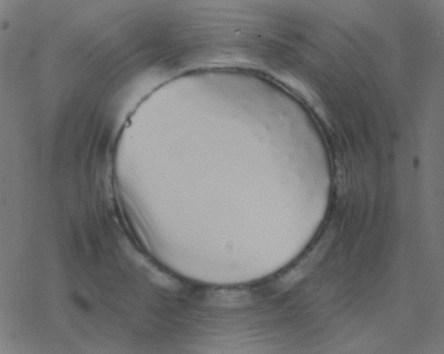 X0000077381374200611101718