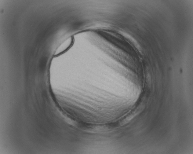 X0000077381375200611101718