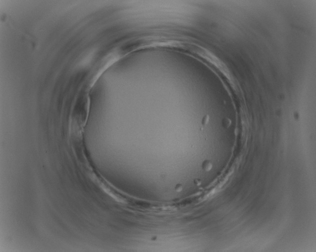 X0000077381377200611101718