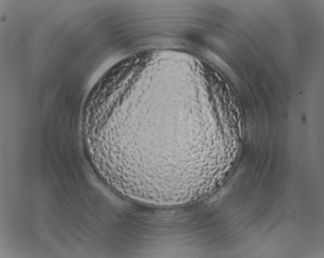 X0000077381378200611101718