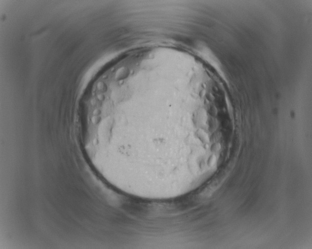 X0000077381379200611101718