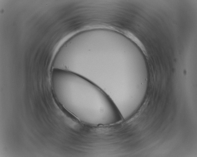 X0000077381380200611101718