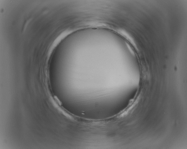 X0000077381381200611101718