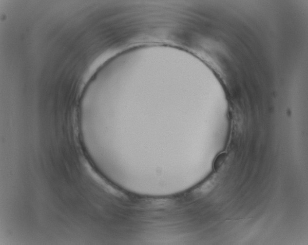 X0000077381382200611101718