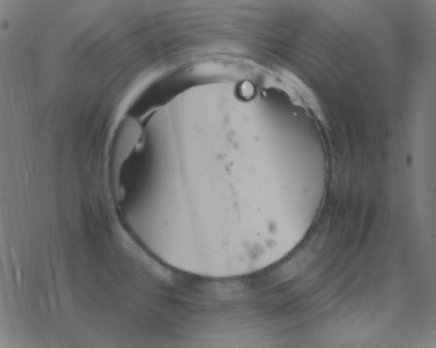 X0000077381384200611101718