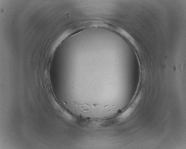 X0000077381385200611101718