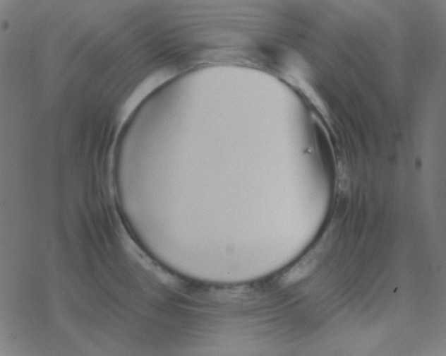 X0000077381386200611101718