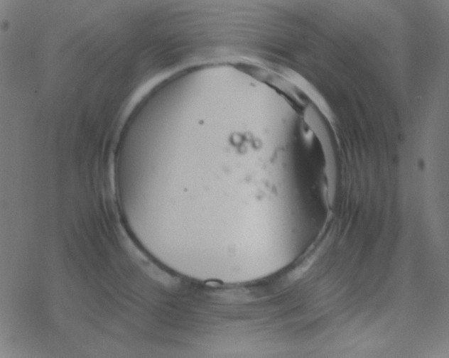 X0000077381388200611101718