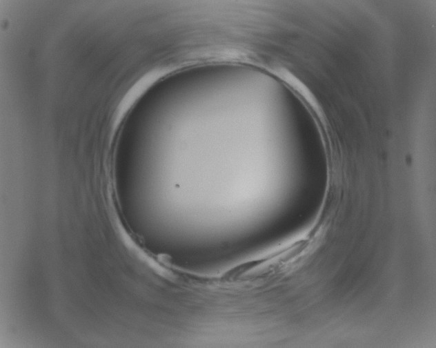 X0000077381389200611101718