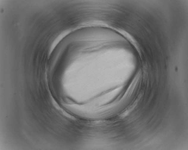 X0000077381390200611101718