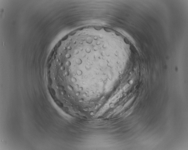 X0000077381391200611101718