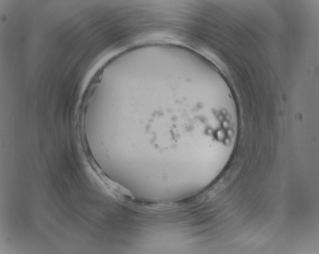 X0000077381392200611101718