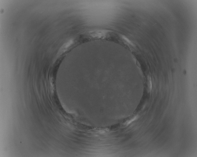 X0000077381394200611101717