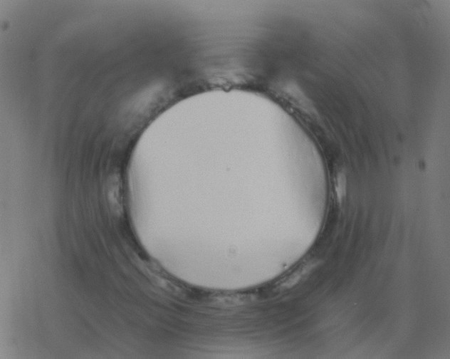 X0000077381396200611101717