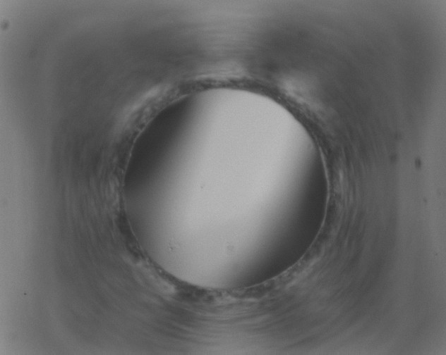 X0000077381398200611101717