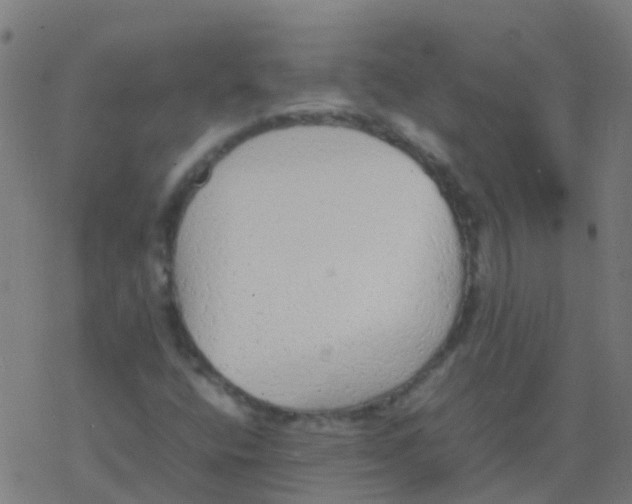 X0000077381400200611101717