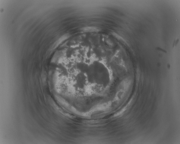 X0000077381401200611101718