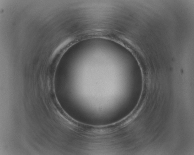 X0000077381402200611101718