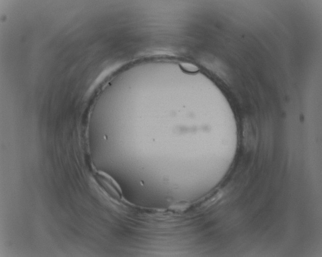 X0000077381404200611101718