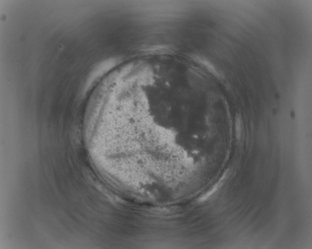 X0000077381405200611101718