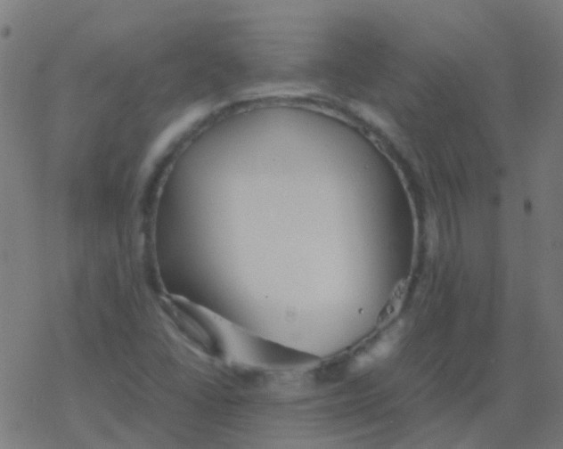 X0000077381406200611101718