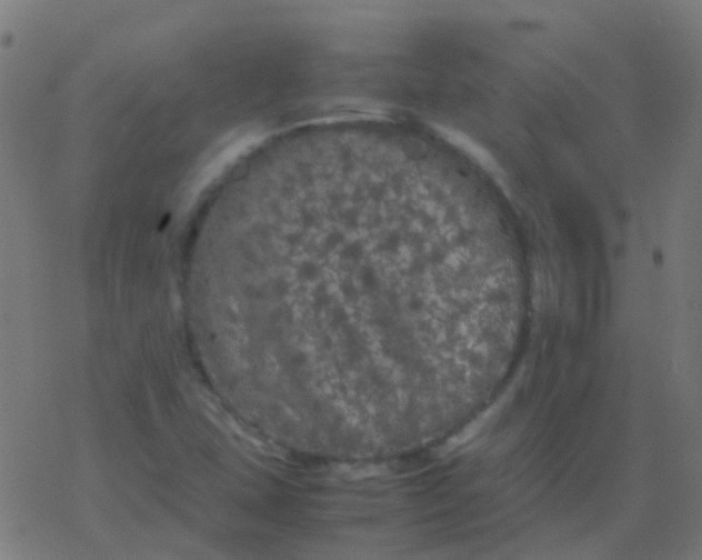 X0000077381407200611101718