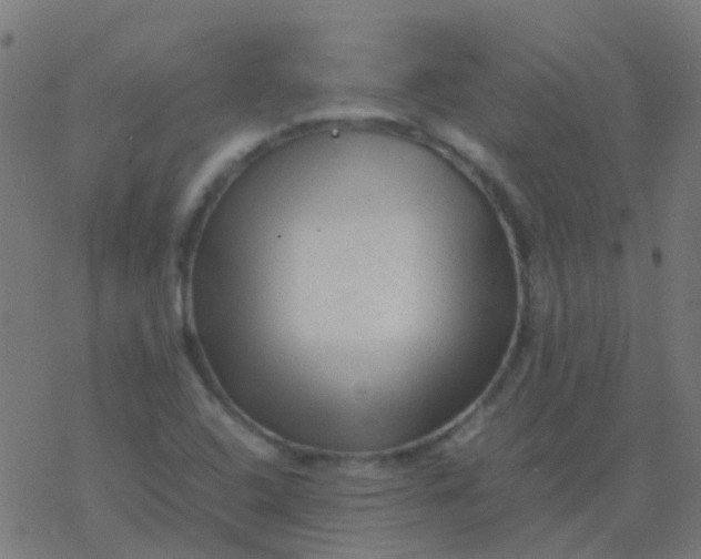 X0000077381408200611101718