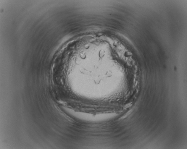 X0000077381409200611101718