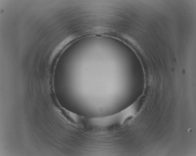 X0000077381410200611101718