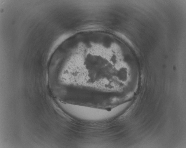 X0000077381413200611101718