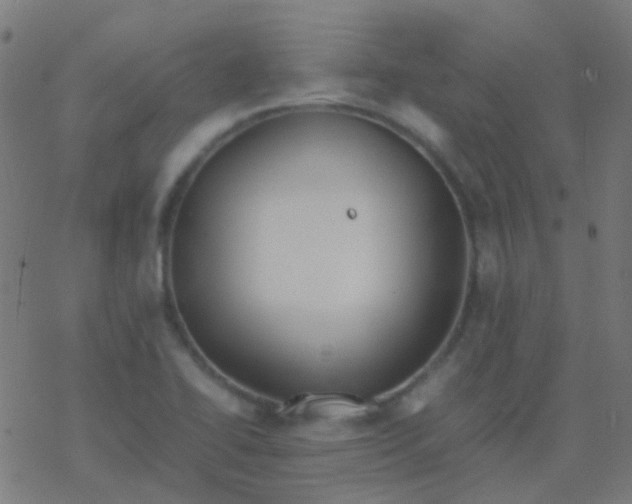 X0000077381414200611101718