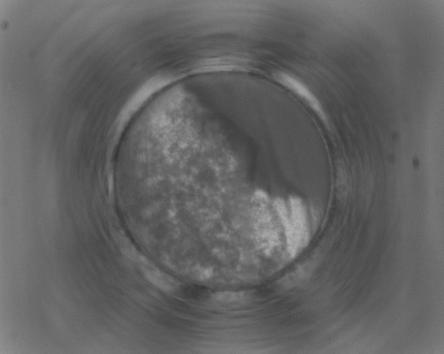 X0000077381419200611101718