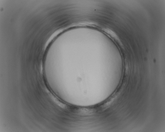 X0000077381420200611101718