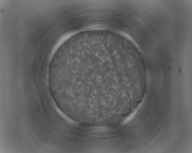 X0000077381421200611101718