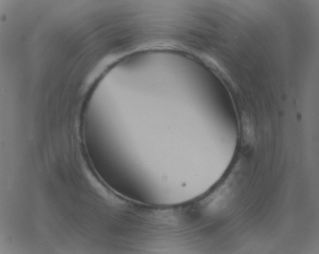 X0000077381422200611101718