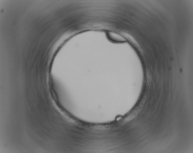 X0000077381424200611101718