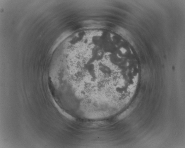 X0000077381425200611101718