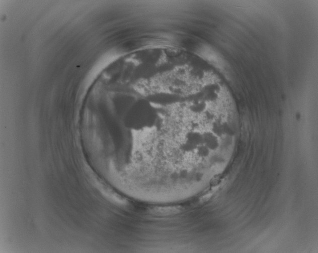 X0000077381427200611101718