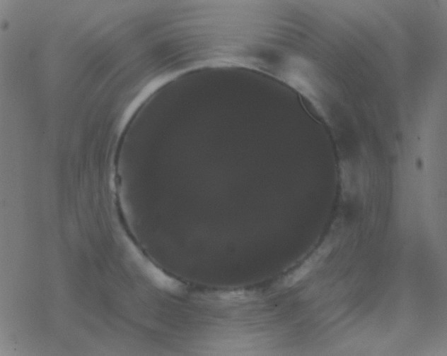 X0000077381428200611101718