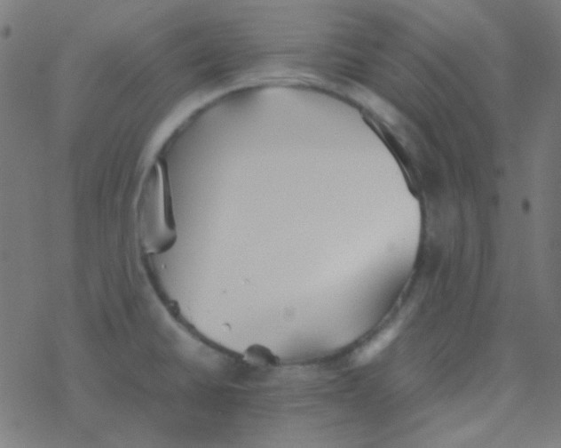 X0000077381430200611101718