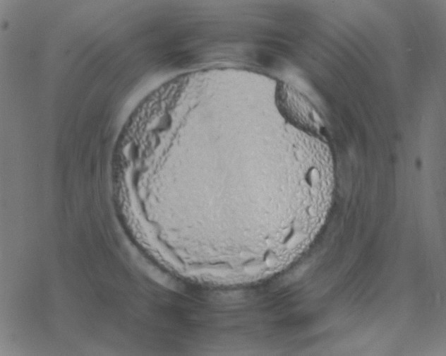 X0000077381431200611101718