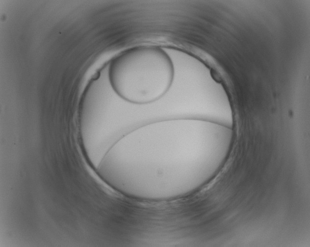 X0000077381432200611101718