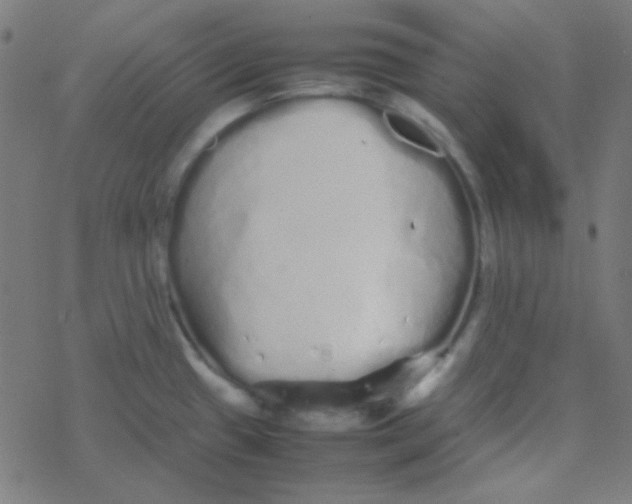 X0000077381433200611101718