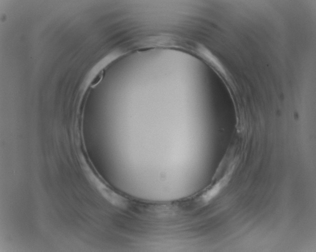 X0000077381434200611101718