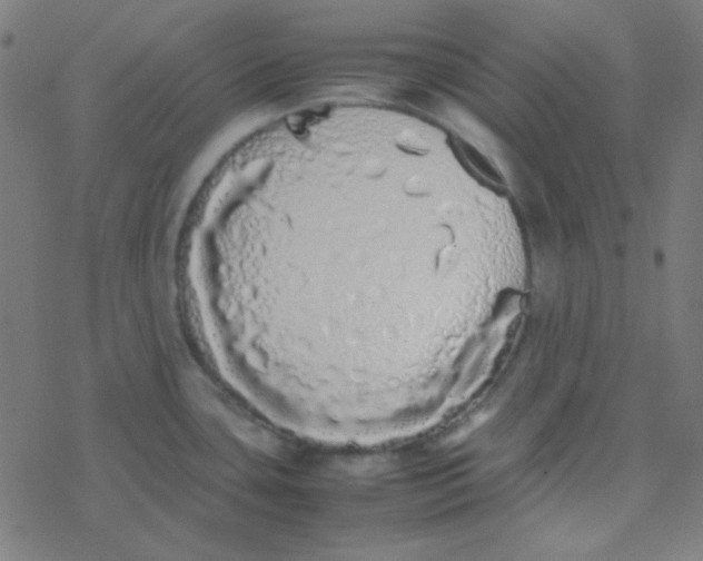 X0000077381435200611101718