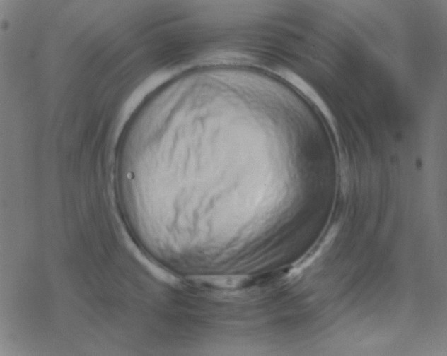 X0000077381437200611101718