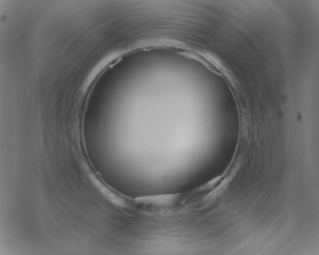 X0000077381438200611101718