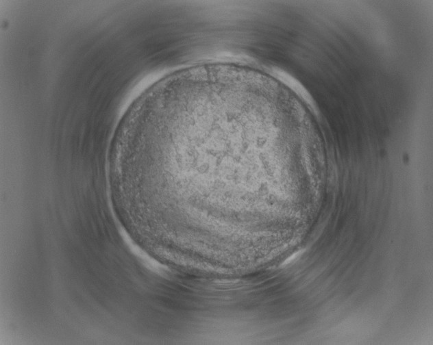 X0000077381439200611101718