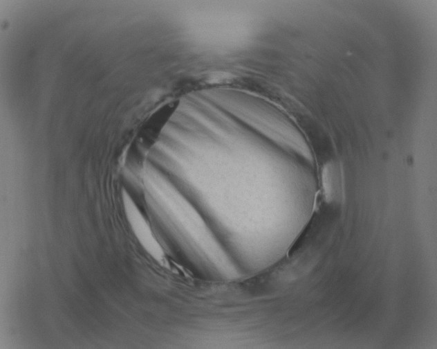 X0000077381443200611101717