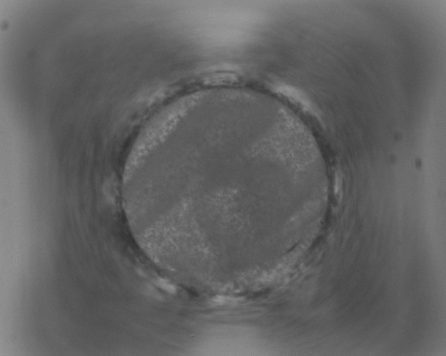 X0000077381445200611101717